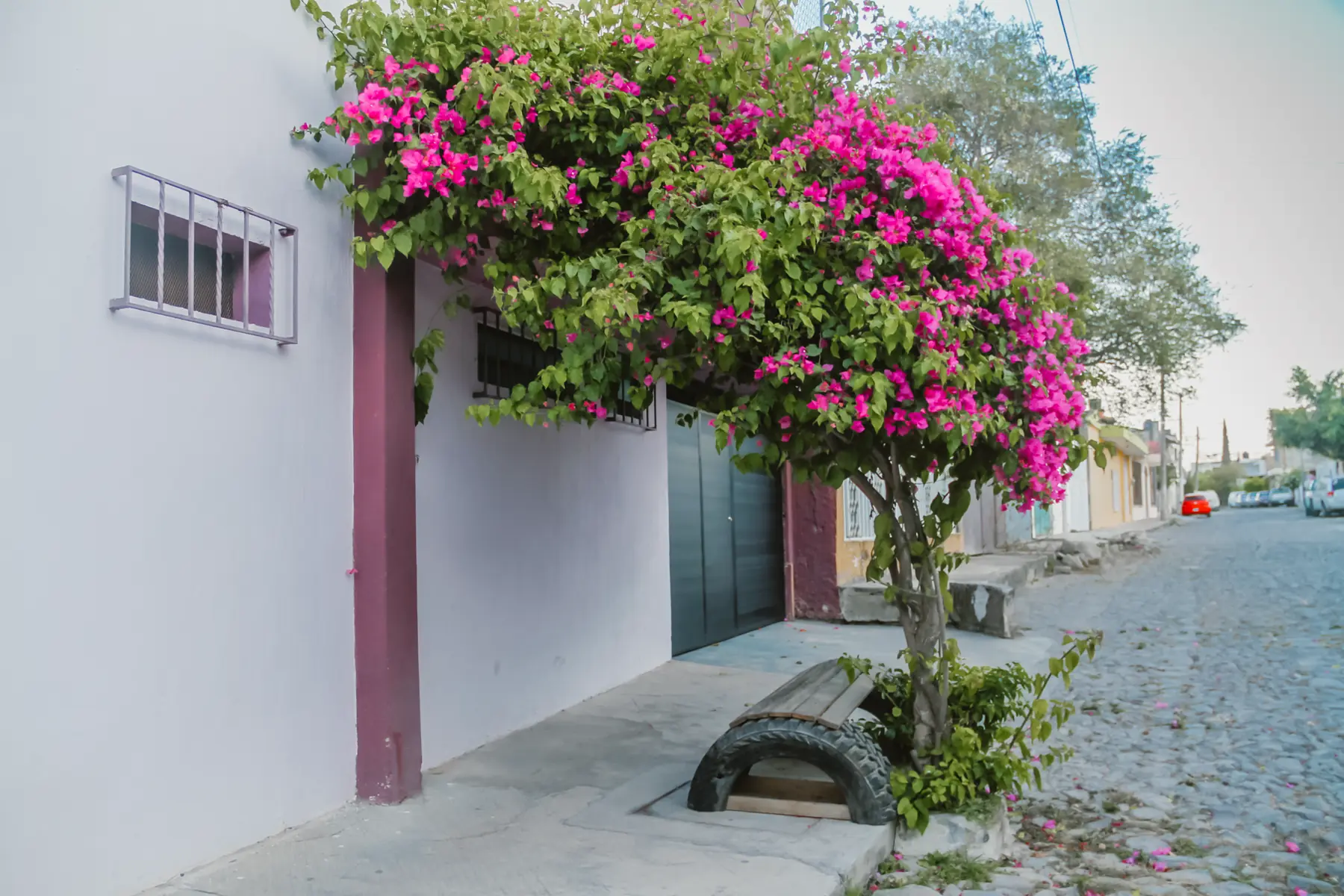 Exterior de Casa Luna